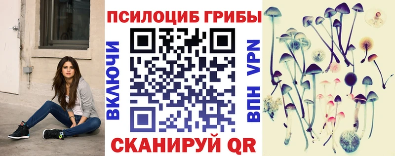 Псилоцибиновые грибы Psilocybe  Купить закладки  Вольск 